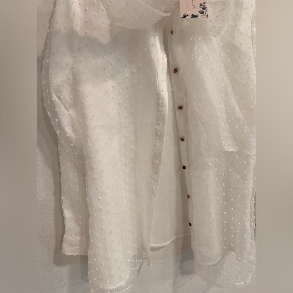 Elegant Dainty Jewells Sheer White Blouse with Bow - Picture 5 of 7